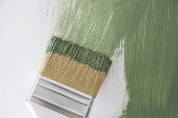 Reliable Carpendale, WV Mold Removal Solutions