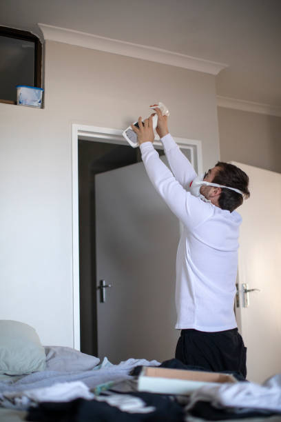 Best Residential Mold Inspection & Testing  in Carpendale, WV