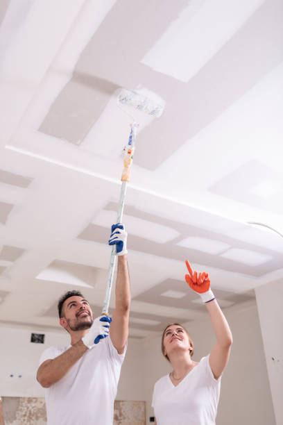 Best Basement Mold Removal  in Carpendale, WV