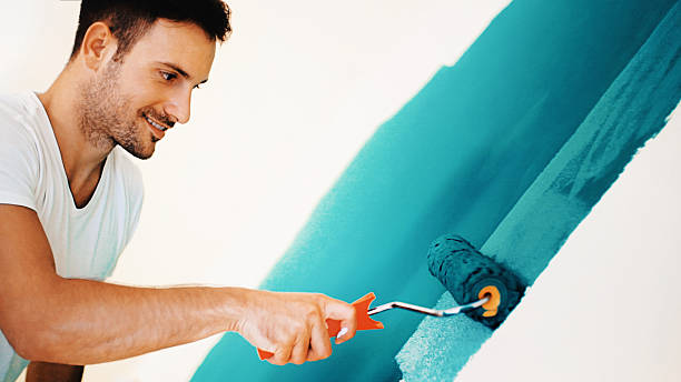 Best Mold Remediation for Healthcare Facilities  in Carpendale, WV