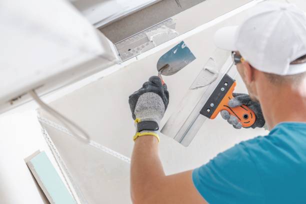 Best Environmental Consulting for Mold Prevention  in Carpendale, WV